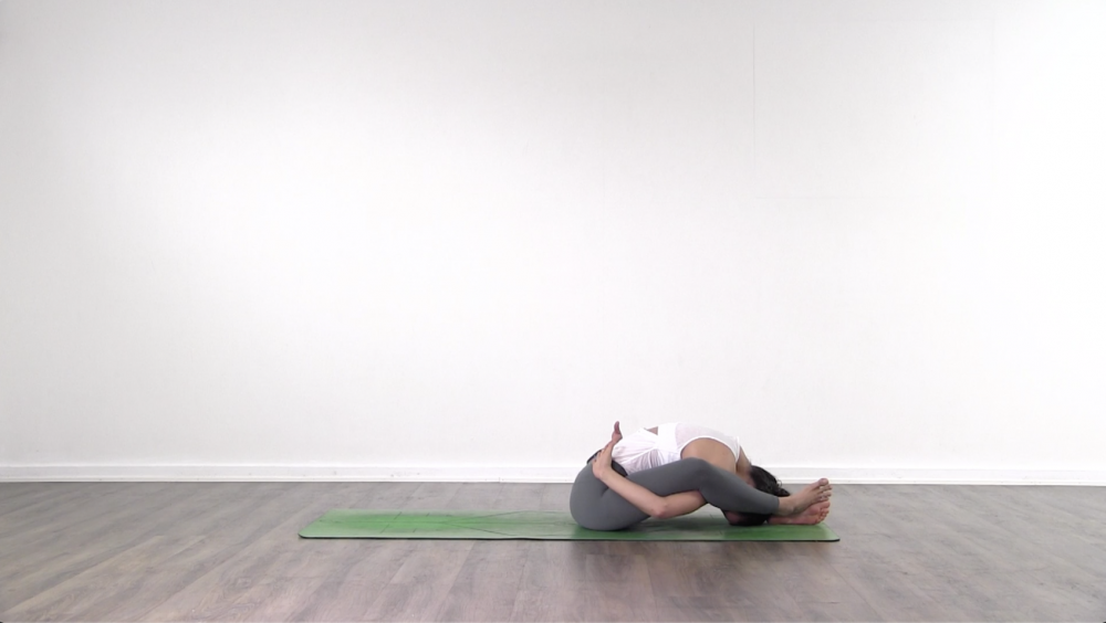 The Last Part Of the Seated Postures_1