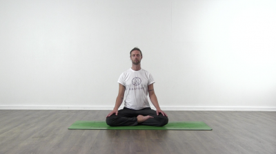 Screenshot from a Online yoga class at Yogateket yoga studio from Uppsala Sweden