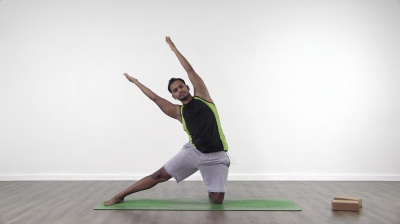 Vinay jesta yoga five elements