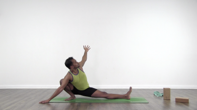 vinay jesta yoga five elements