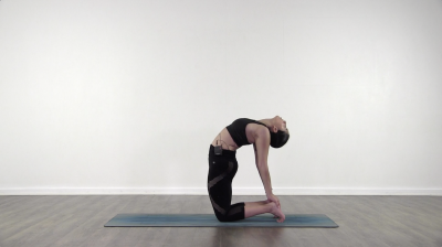 camel pose Amaranta agiular