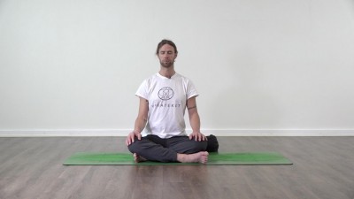 Yoga teacher performing yoga posture on green yoga mat on white background