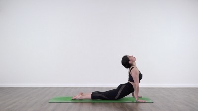 screenshot from online yoga class  at Yogateket yoga studio in Uppsala sweden